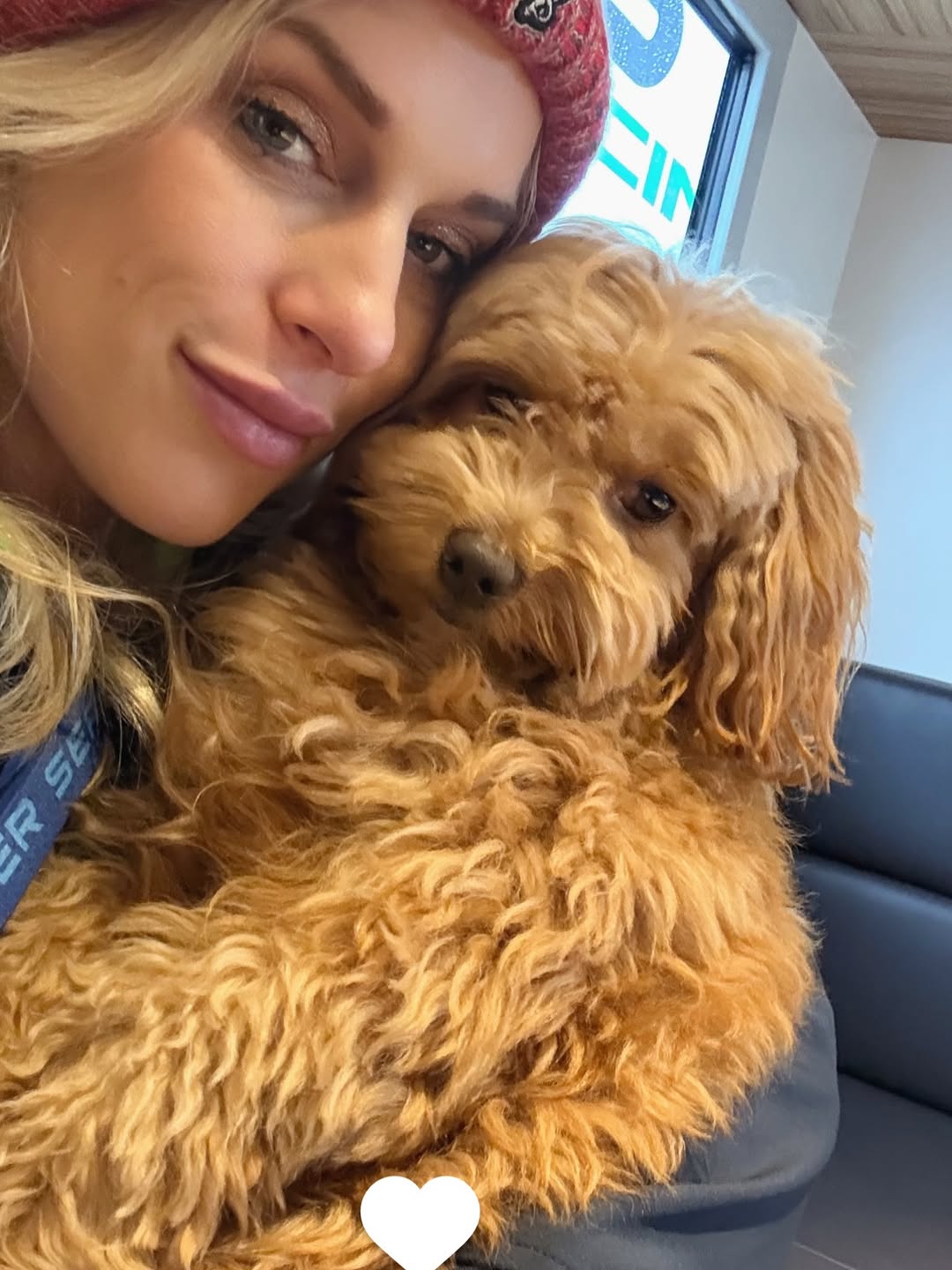 Amanda Thompson - CuddleMaltis family