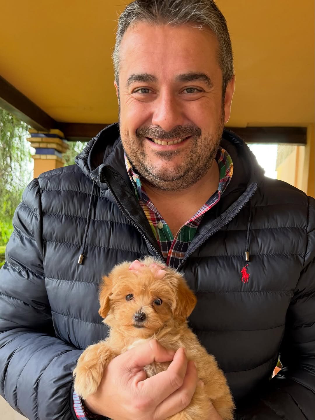 Ryan Johnson - CuddleMaltis family