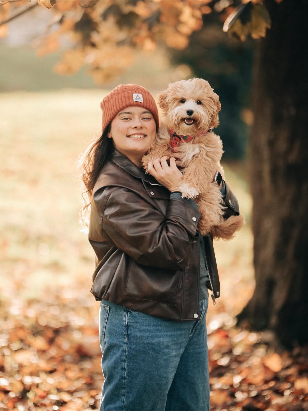 Karen Davis - CuddleMaltis family